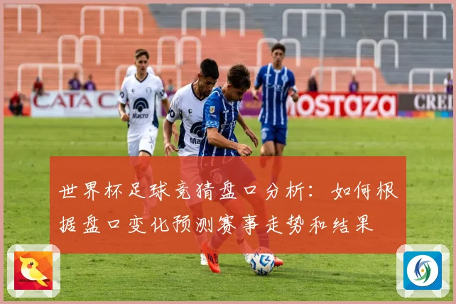 世界杯足球竞猜盘口分析：如何根据盘口变化预测赛事走势和结果
