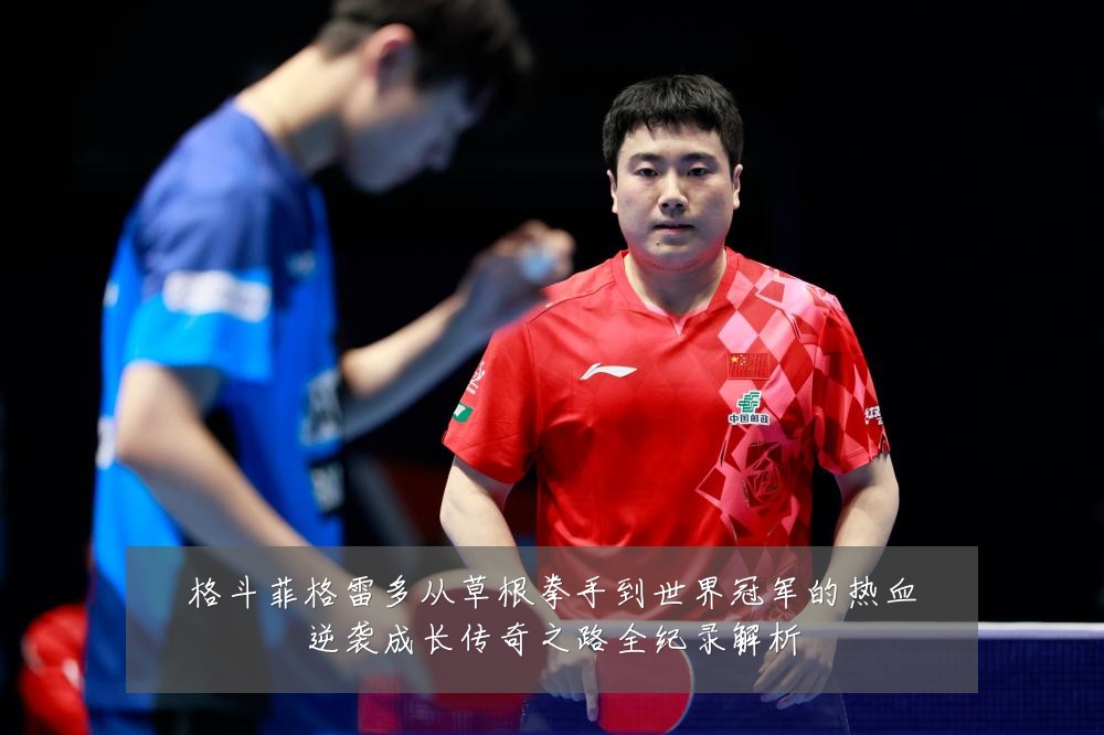 格斗菲格雷多从草根拳手到世界冠军的热血逆袭成长传奇之路全纪录解析